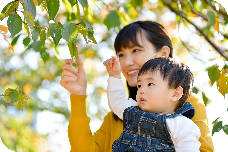 木の実を見つめる保護者と子ども