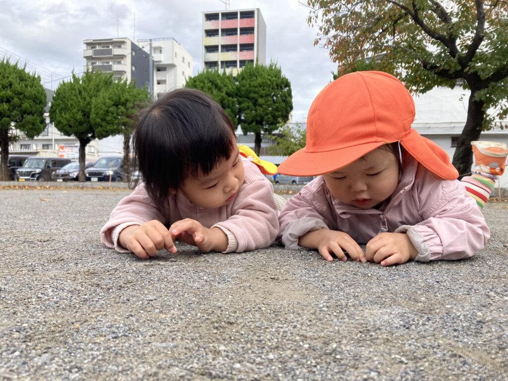 フェリーチェ 行徳園