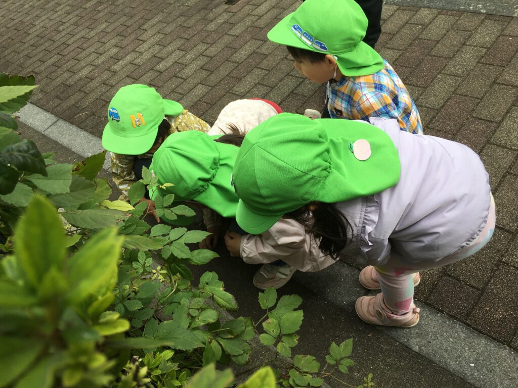 フェリーチェ 新座園