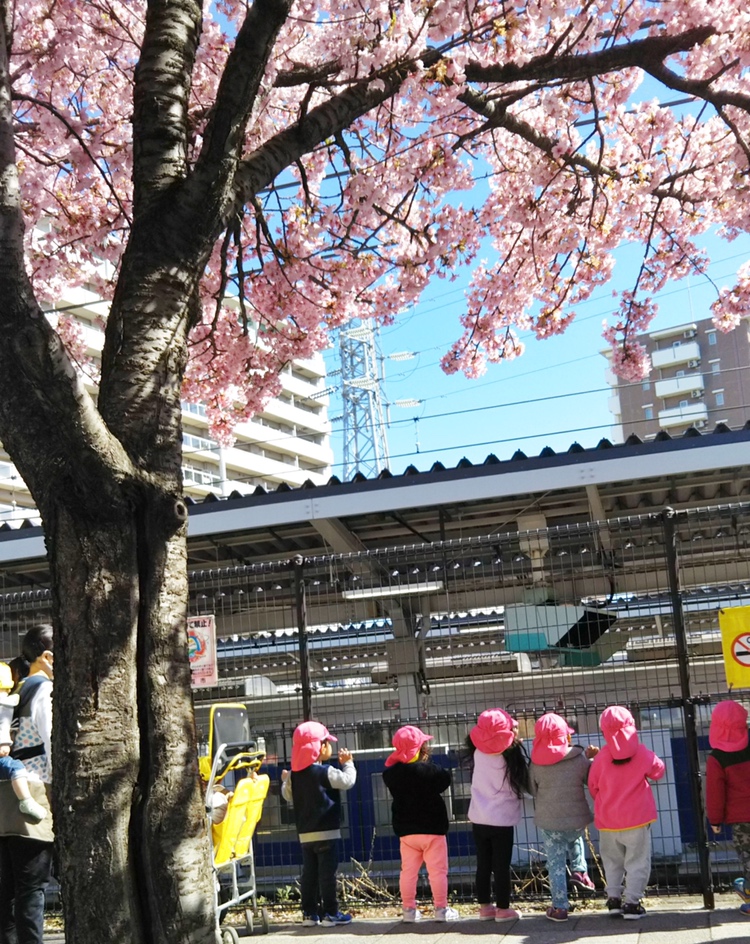 フェリーチェ 朝霞園