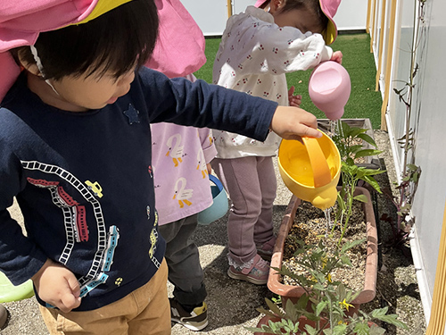 あーす保育園 イオンモール川口
