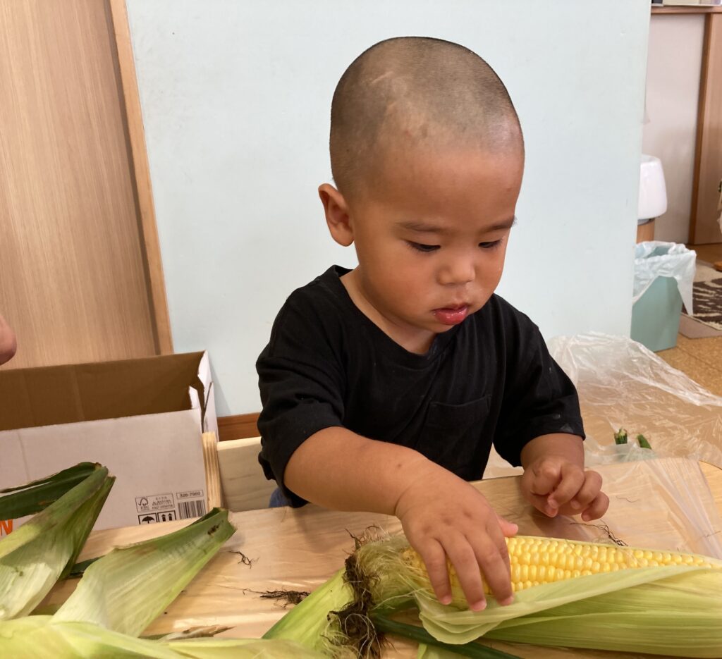 フェリーチェ 蕨Ⅱ園