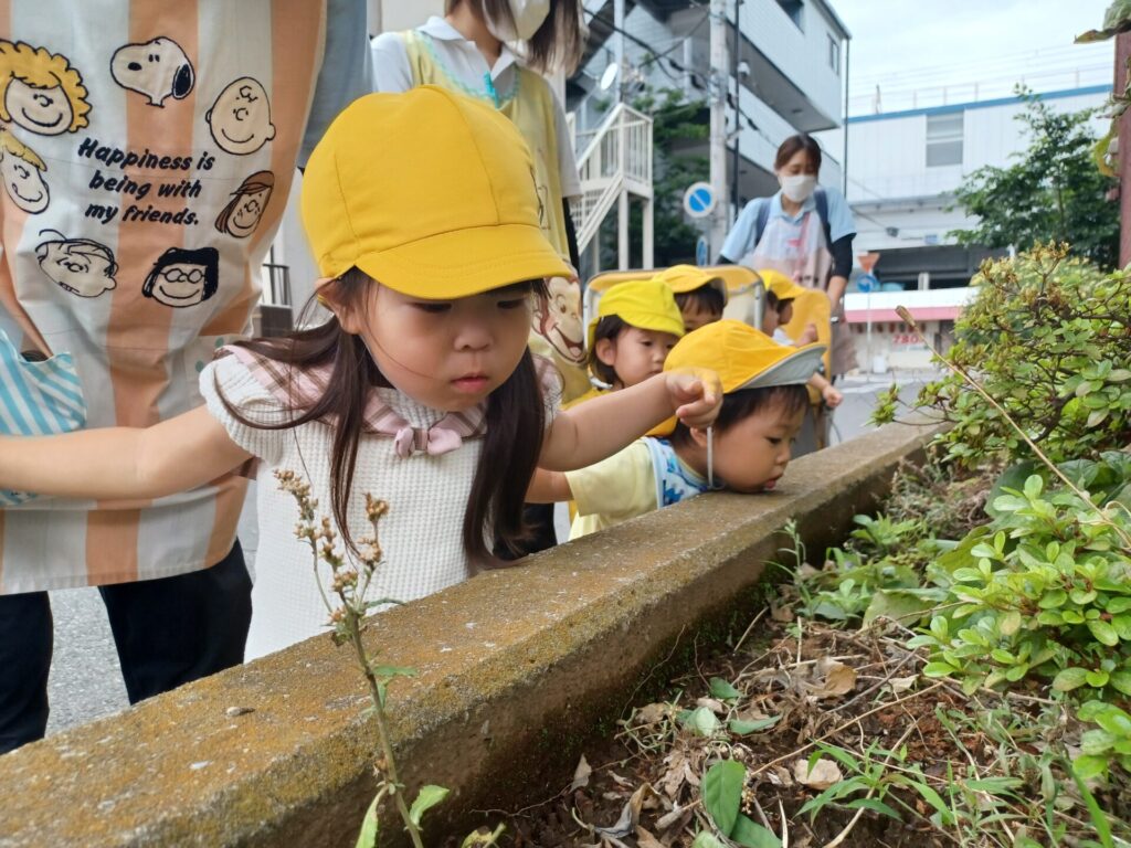 フェリーチェ 南行徳園