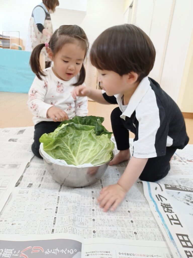 フェリーチェ 座間園