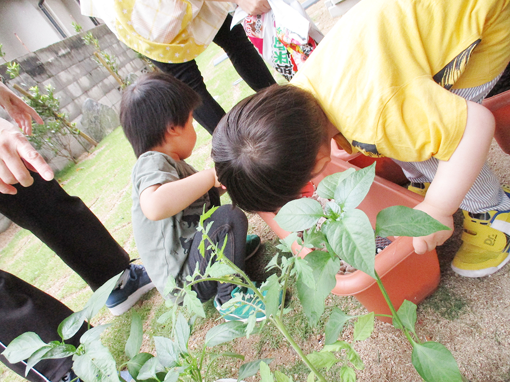 にじの森保育園 苦楽園口