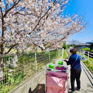 あーす保育園 宇土
