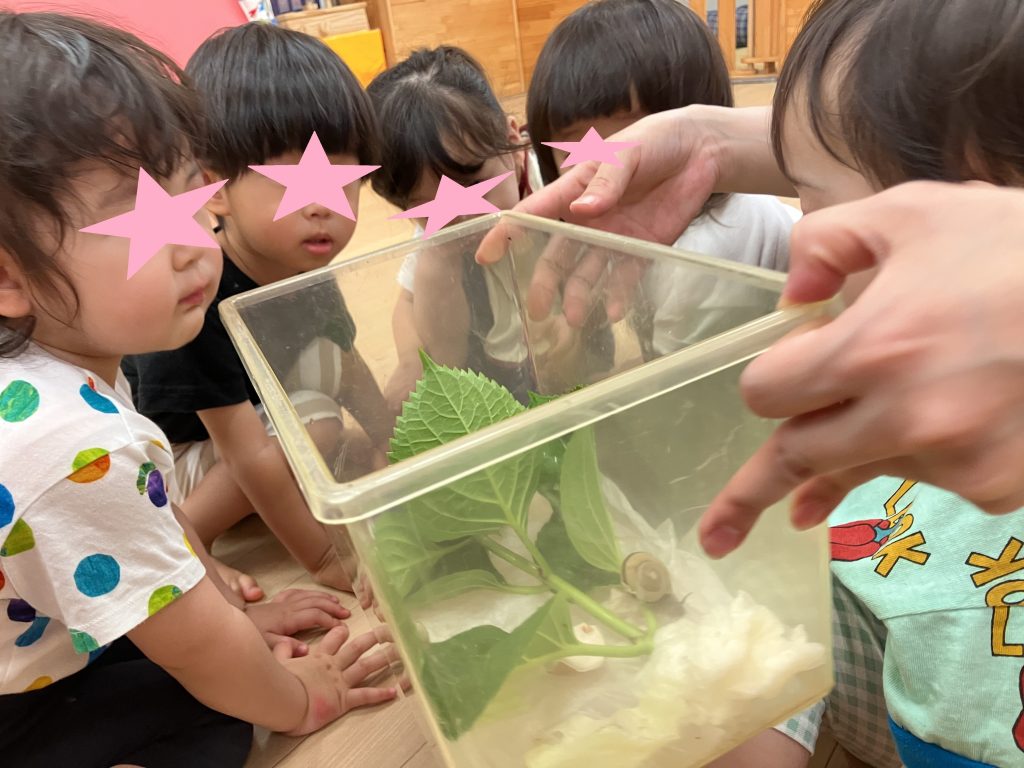 かたつむり