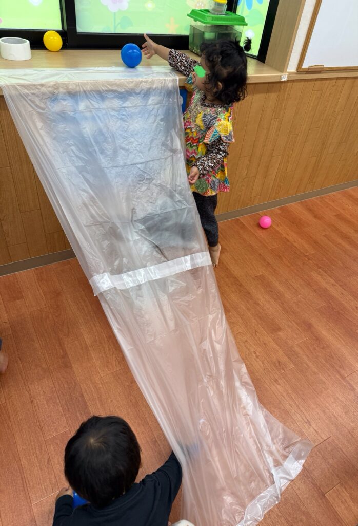 今日の様子