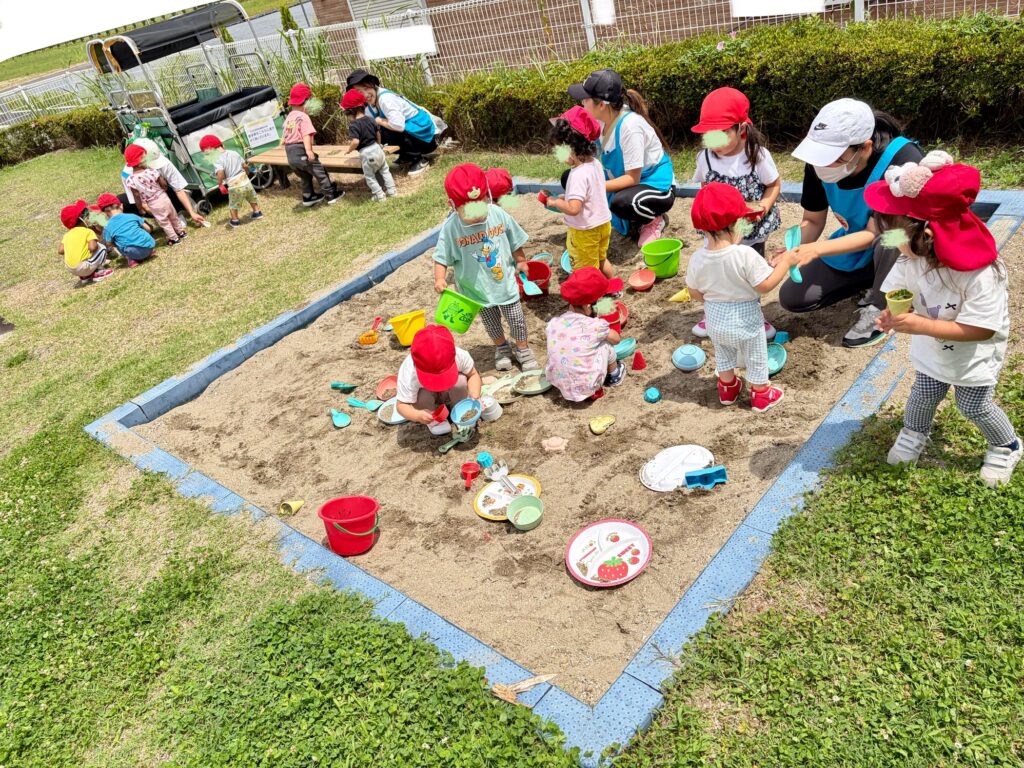 お昼寝