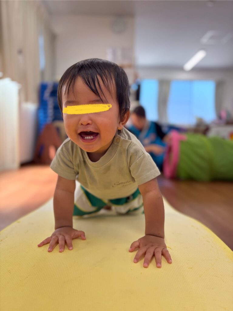 今日の様子