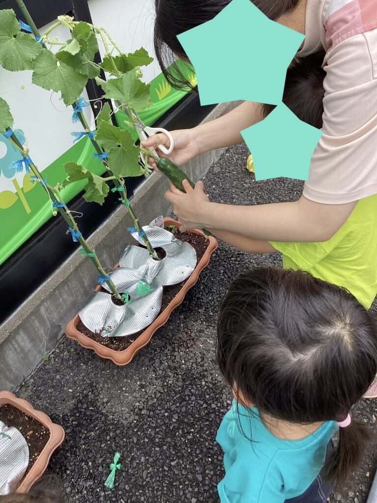 公津の杜園