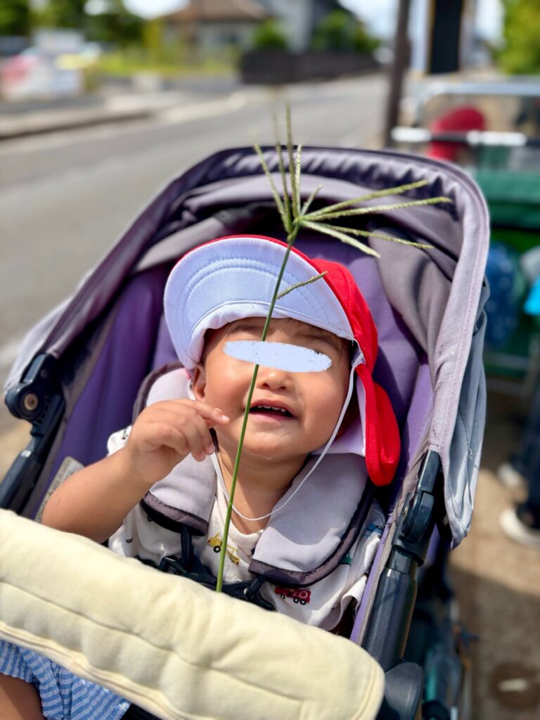 戸外散歩