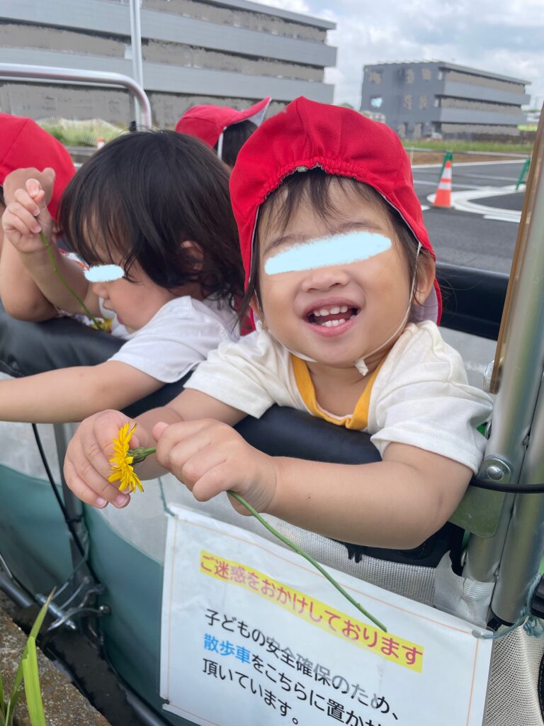 今日の様子