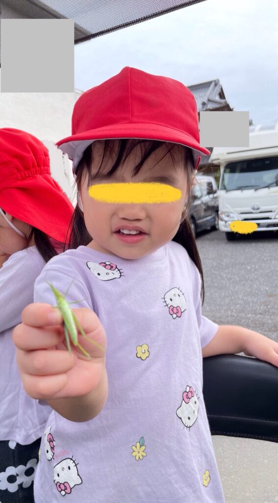 お散歩