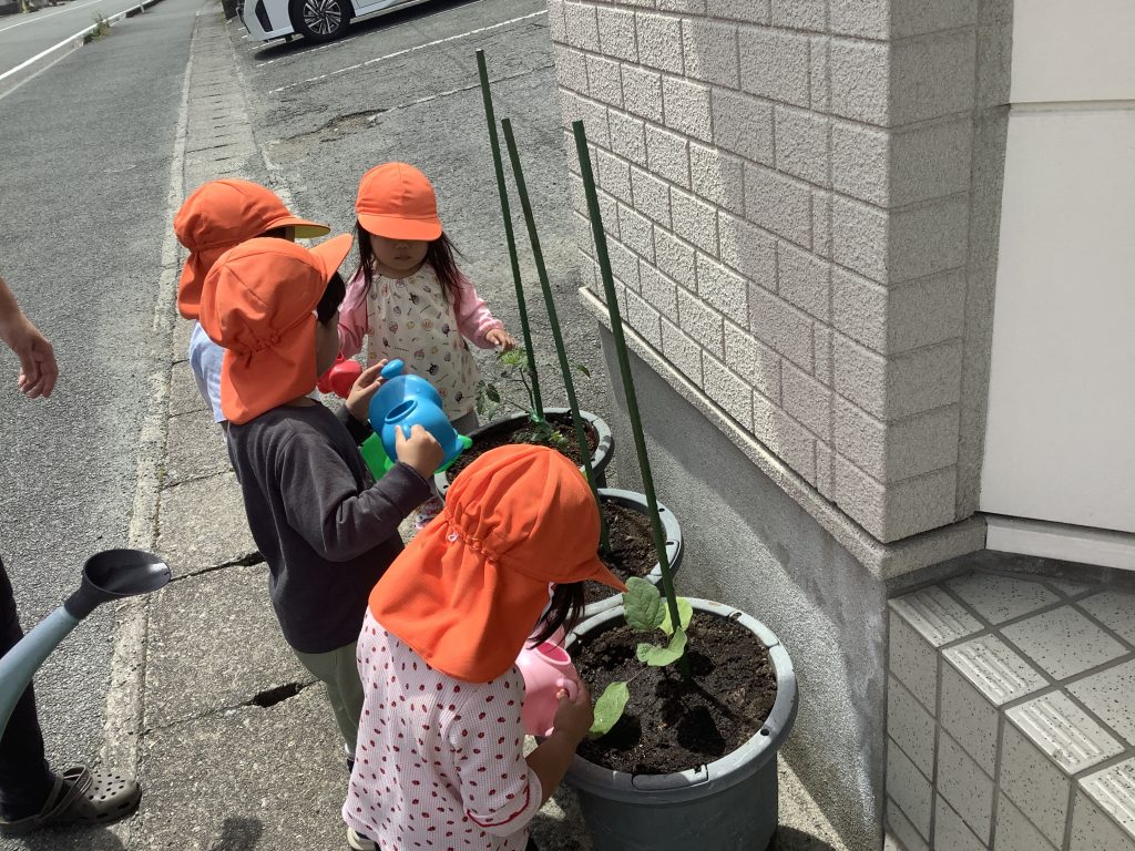 ５月の食育活動