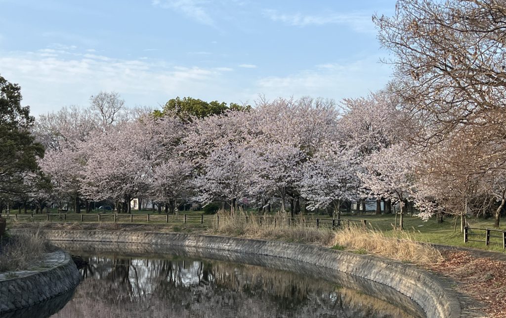 令和8年度が始まりました