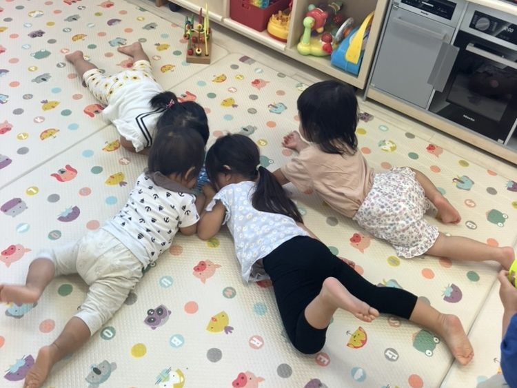 🌸開園1年目の様子です！🌸